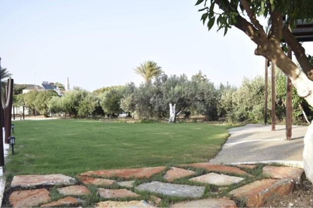Kouremenos Beach Apartments باليكاسترون المظهر الخارجي الصورة