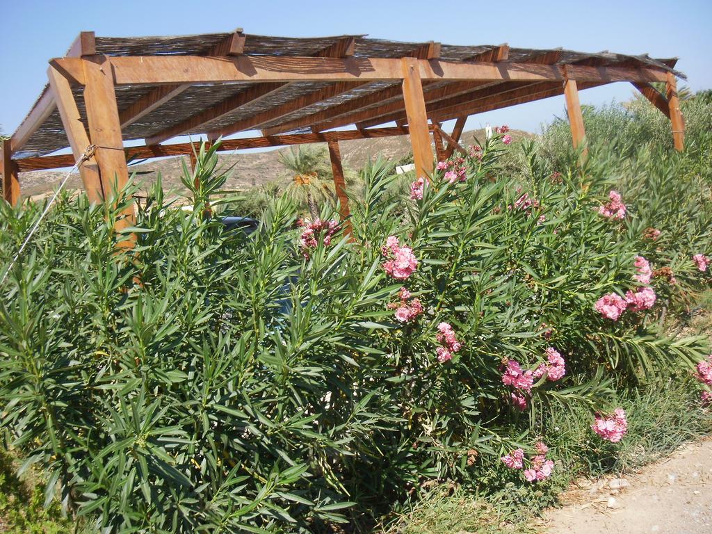 Kouremenos Beach Apartments باليكاسترون المظهر الخارجي الصورة
