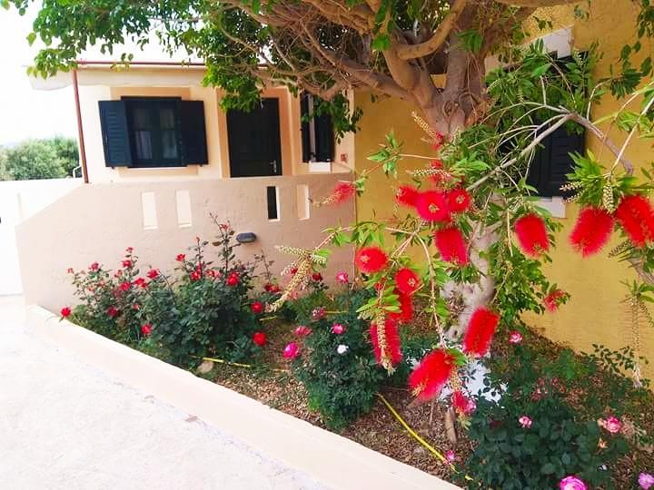 Kouremenos Beach Apartments باليكاسترون المظهر الخارجي الصورة